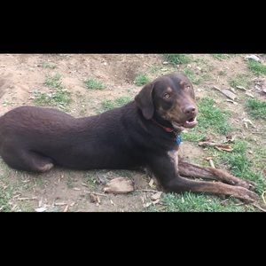 Meet your Posher, Joeanna